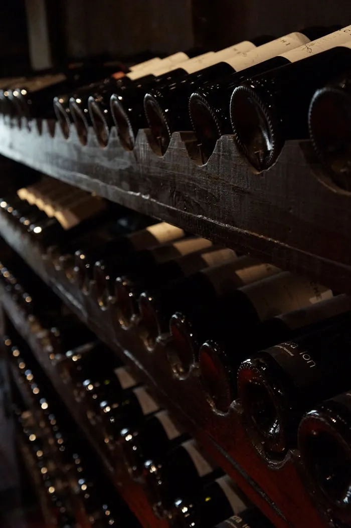 creative-03 cellar with wine bottles 774455