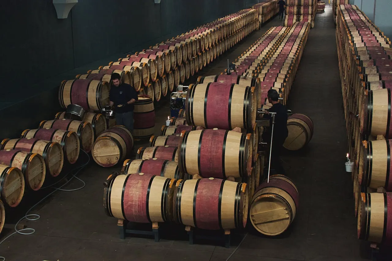 Aerial view of a wine cellar with oak barrels in Margaux, France, showcasing wine production.