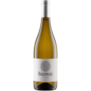 MALVASIA ISTRIANA