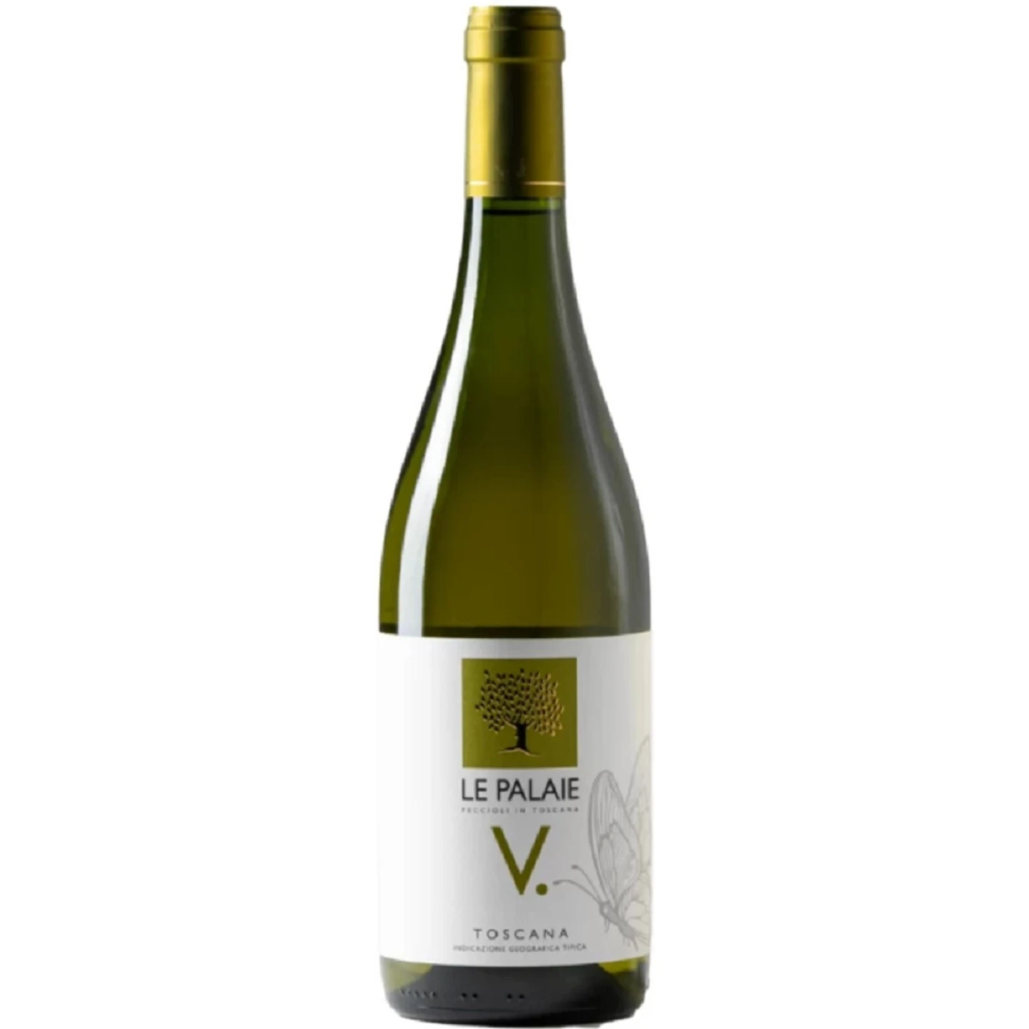 V - LE PALAIE 1 V