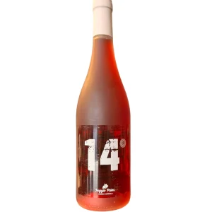 14 POGGIO PRIMO